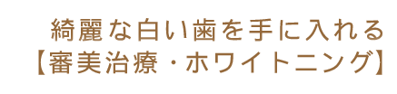 綺麗な白い歯を手に入れる【審美治療・ホワイトニング】