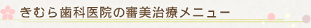 きむら歯科医院の審美治療メニュー