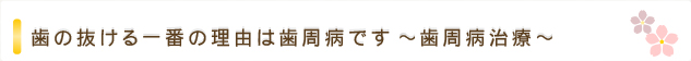 歯の抜ける一番の理由は歯周病です　～歯周病治療～